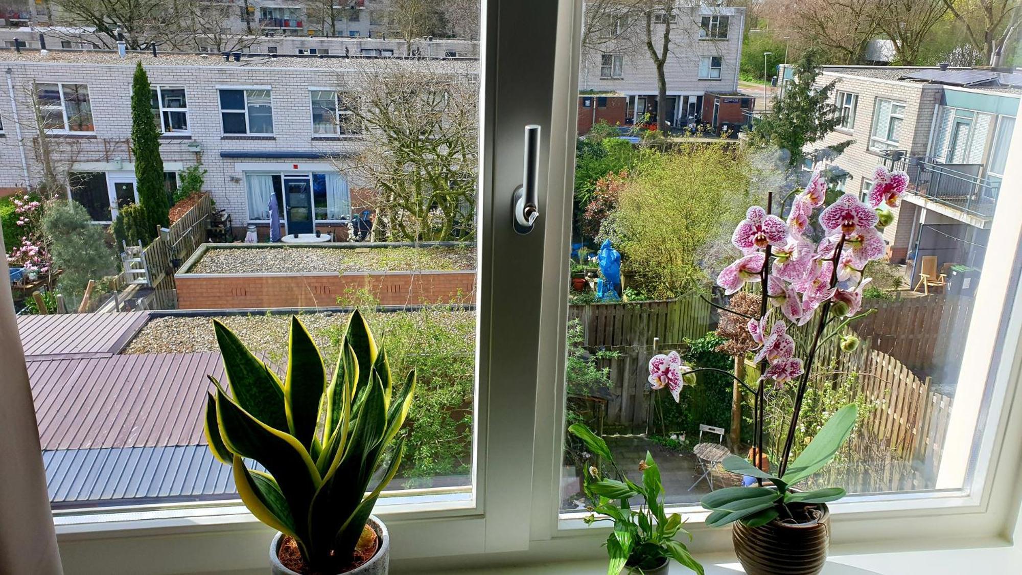 Amor Guesthouse Amsterdam Zewnętrze zdjęcie
